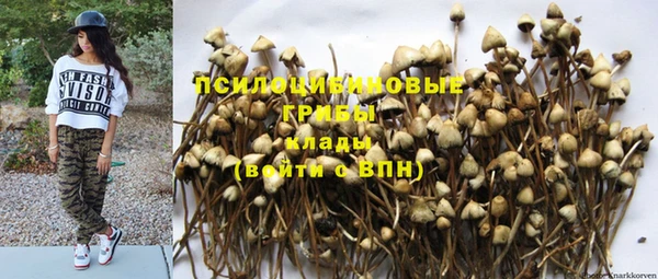 бошки Верея