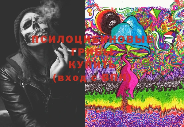 бошки Верея