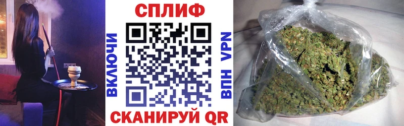 Бошки Шишки план Волоколамск